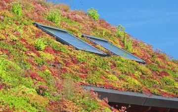 Cheswick living roof systems