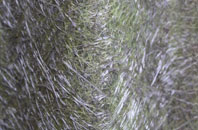 Cheswick fibreglass roof work